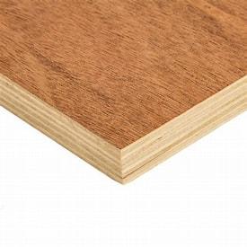 TrojanPly MR Flush Door Wooden Plywood